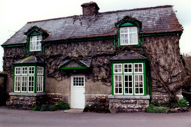 File:Cong Abbey Gothic chapter house - geograph.org.uk - 1623632.jpg