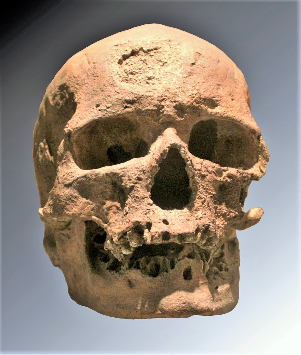 Homme préhistorique - Vikidia, l’encyclopédie des ans