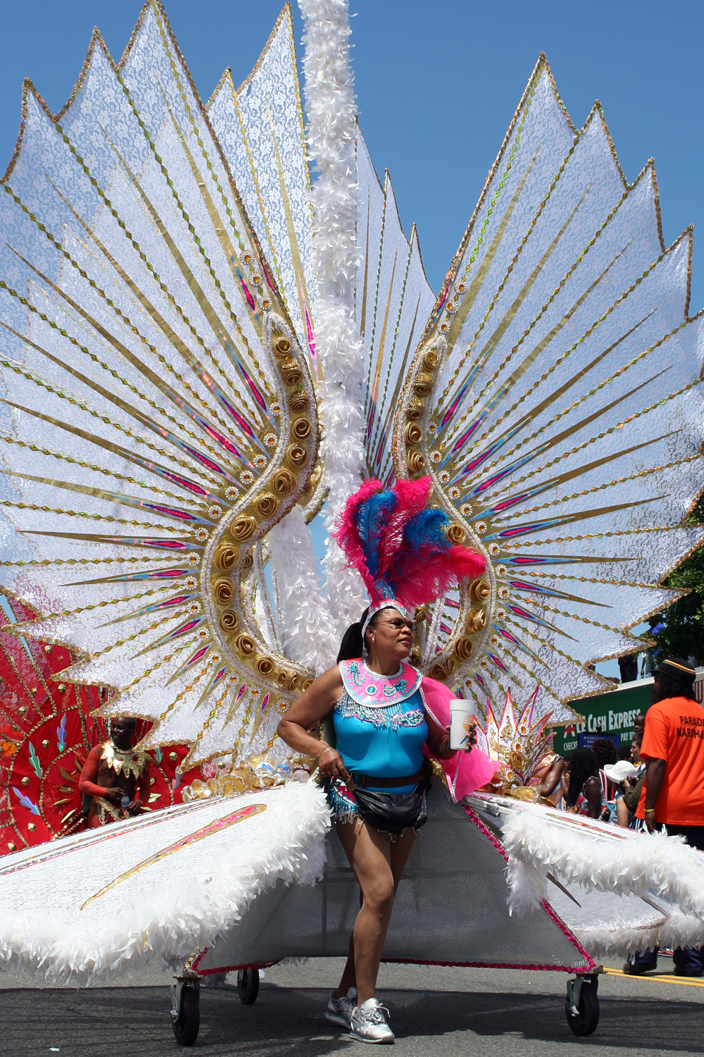 DC Caribbean Carnival – DC Caribbean Carnival