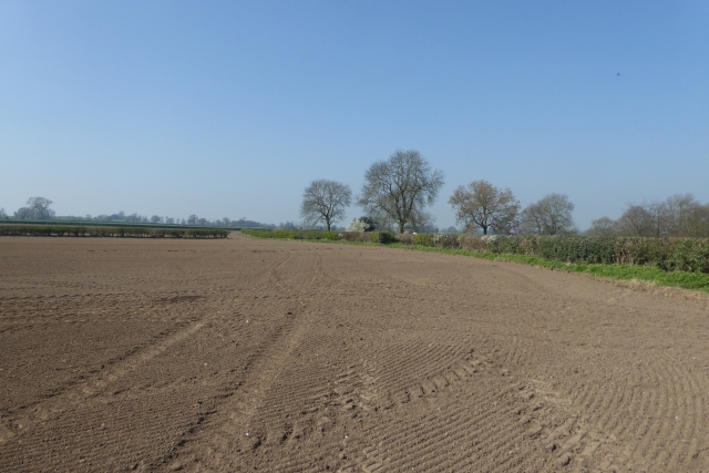 File:Farmland south of Askham Richard - geograph.org.uk - 5341540.jpg