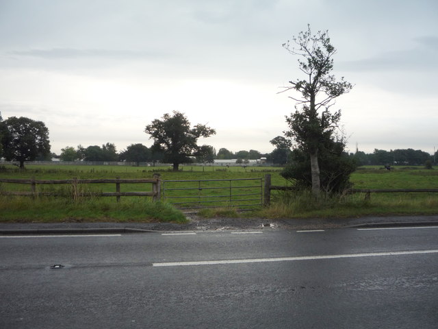 File:Field entrance off the A515 - geograph.org.uk - 5093301.jpg