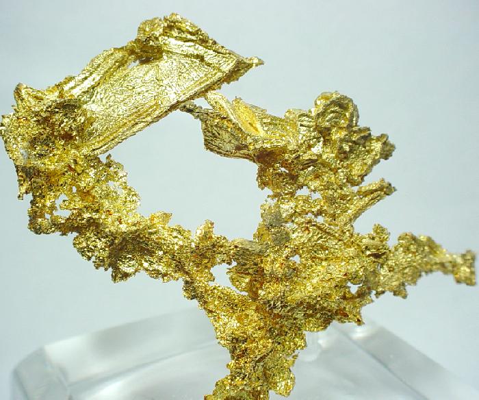 L 34gd. Кристал Голд (Crystal Gold) актриса. The Golden GD. Gold from Gemini.