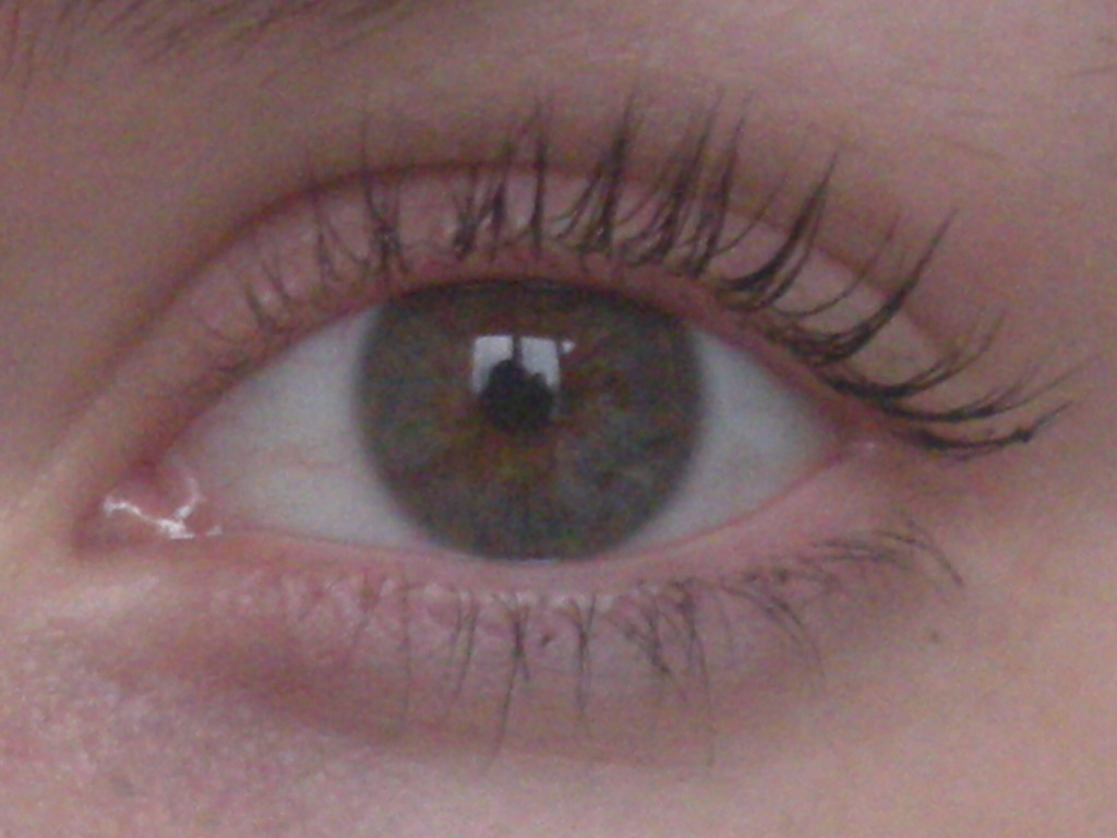 File:Human eye closeup.JPG - Wikipedia