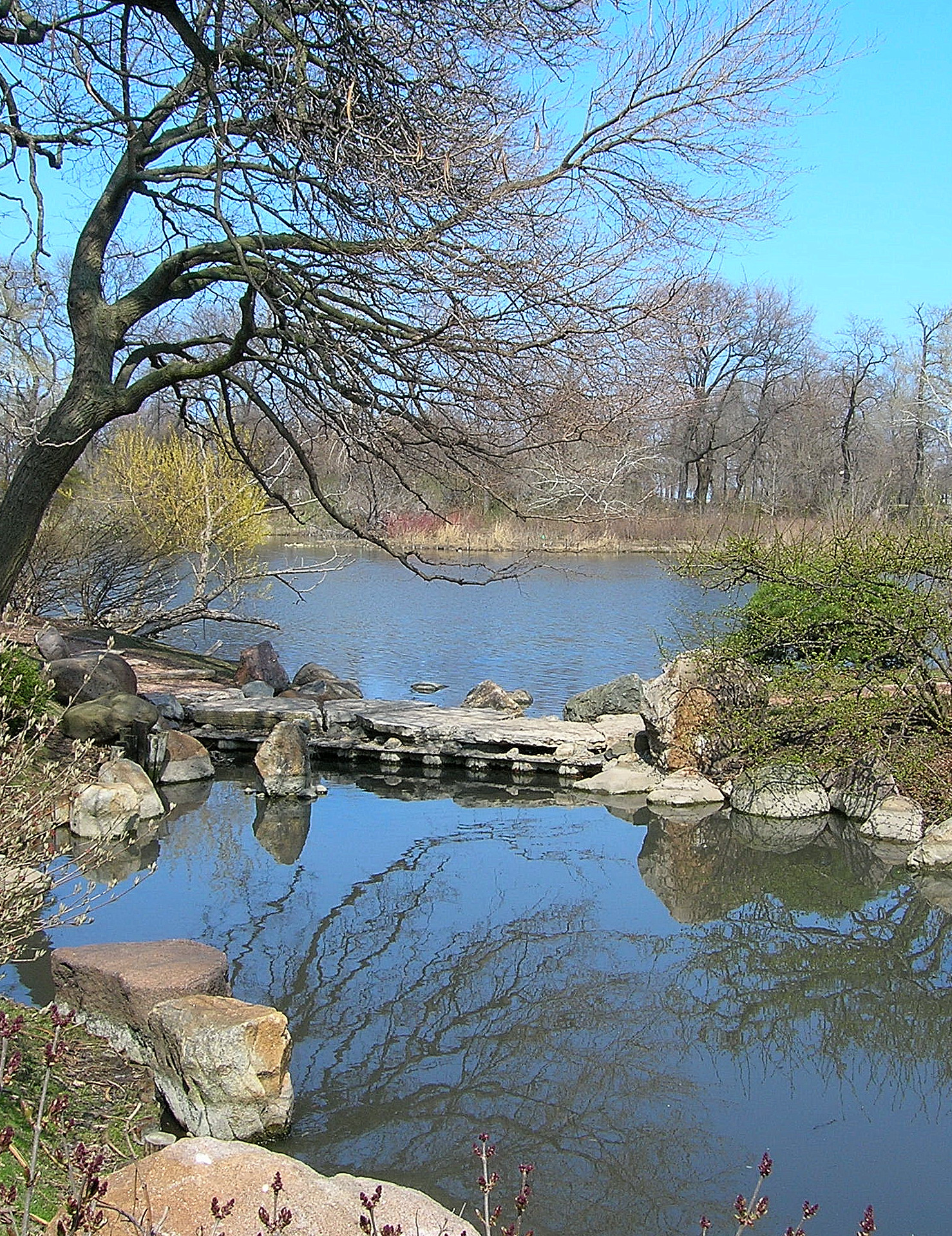 File Jackson Park Osaka Garden Chicago Jpg Wikimedia Commons