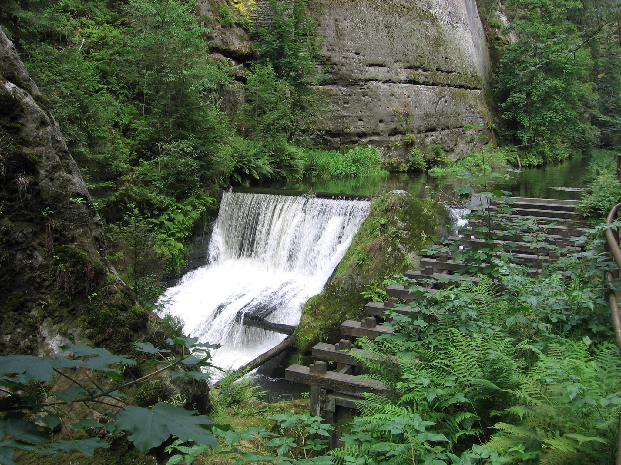 Die Kamnitz in der Wilden Klamm