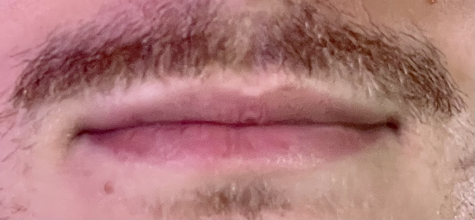 Lip image