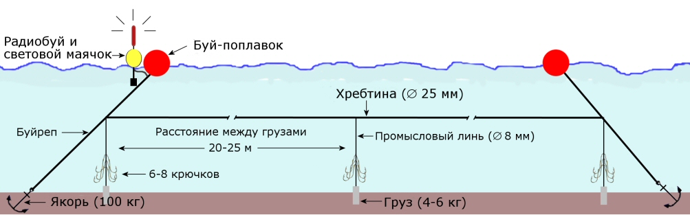 https://upload.wikimedia.org/wikipedia/commons/f/f5/Longline-trotline-bottom.jpg