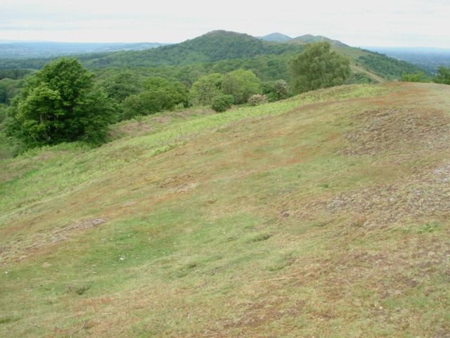 Midsummer Hill - geograph.org.uk - 469320