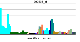 File:PBB GE FADD 202535 at tn.png