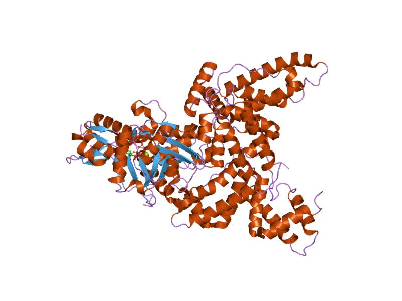 File:PDB 1kxp EBI.jpg