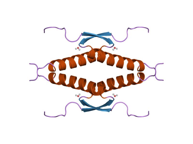 File:PDB 1sak EBI.jpg