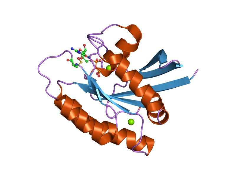 File:PDB 1xj0 EBI.jpg