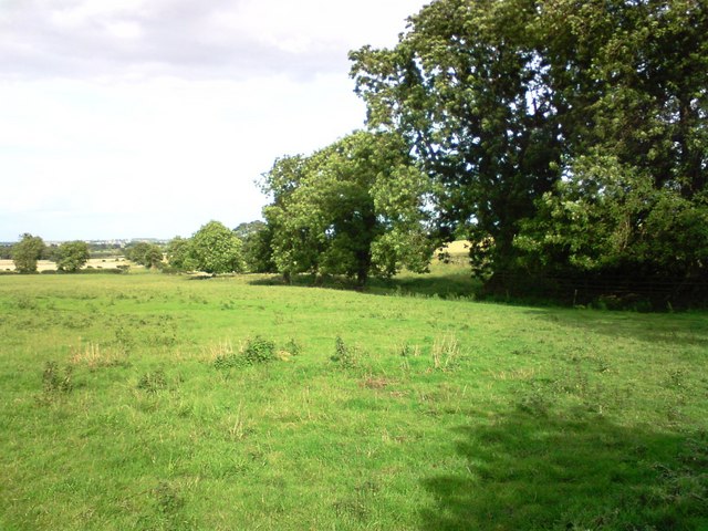 File:Pasture Land - geograph.org.uk - 508610.jpg