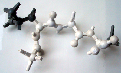 File:Peptide model s.jpg