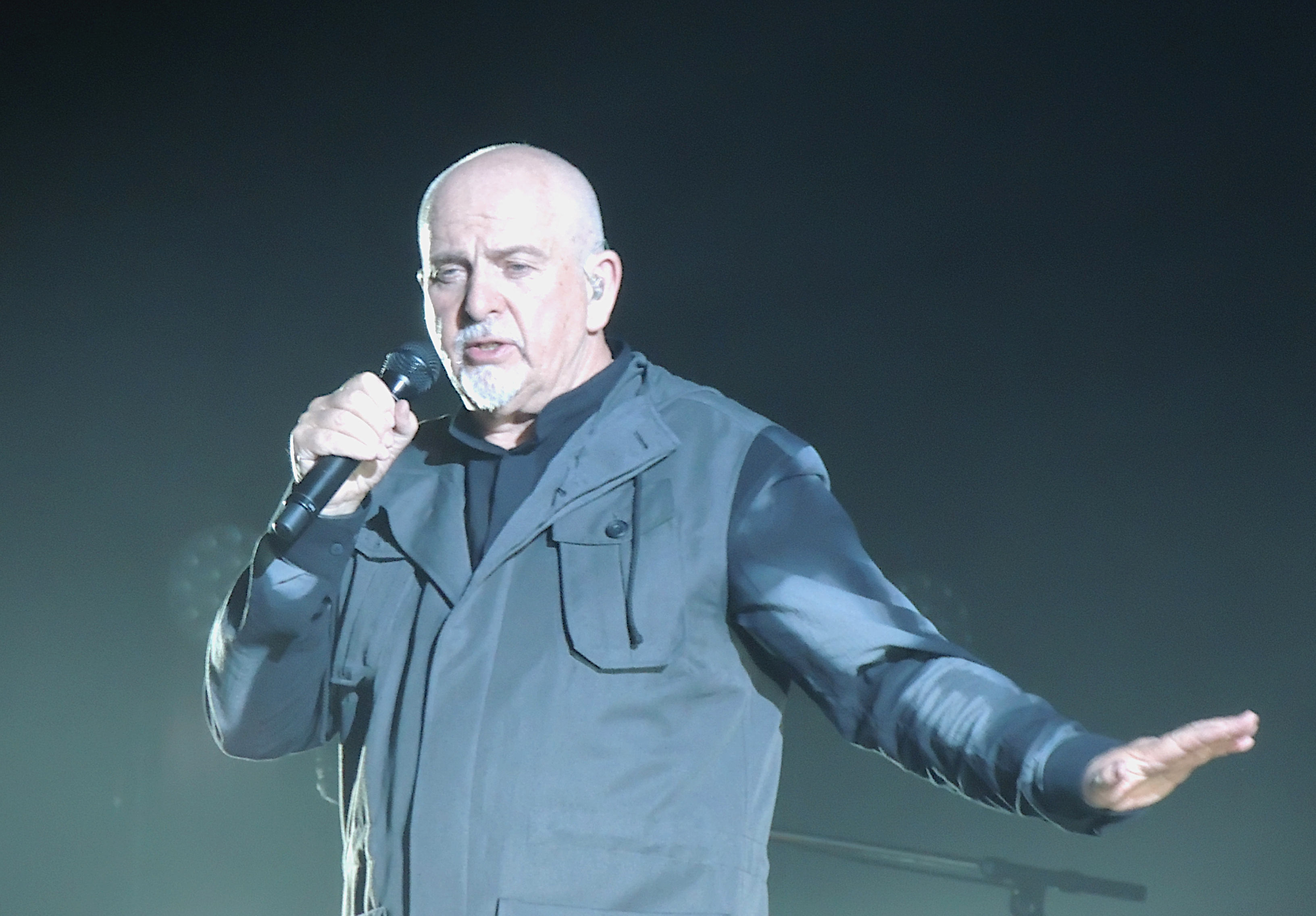 Steam peter gabriel video фото 68