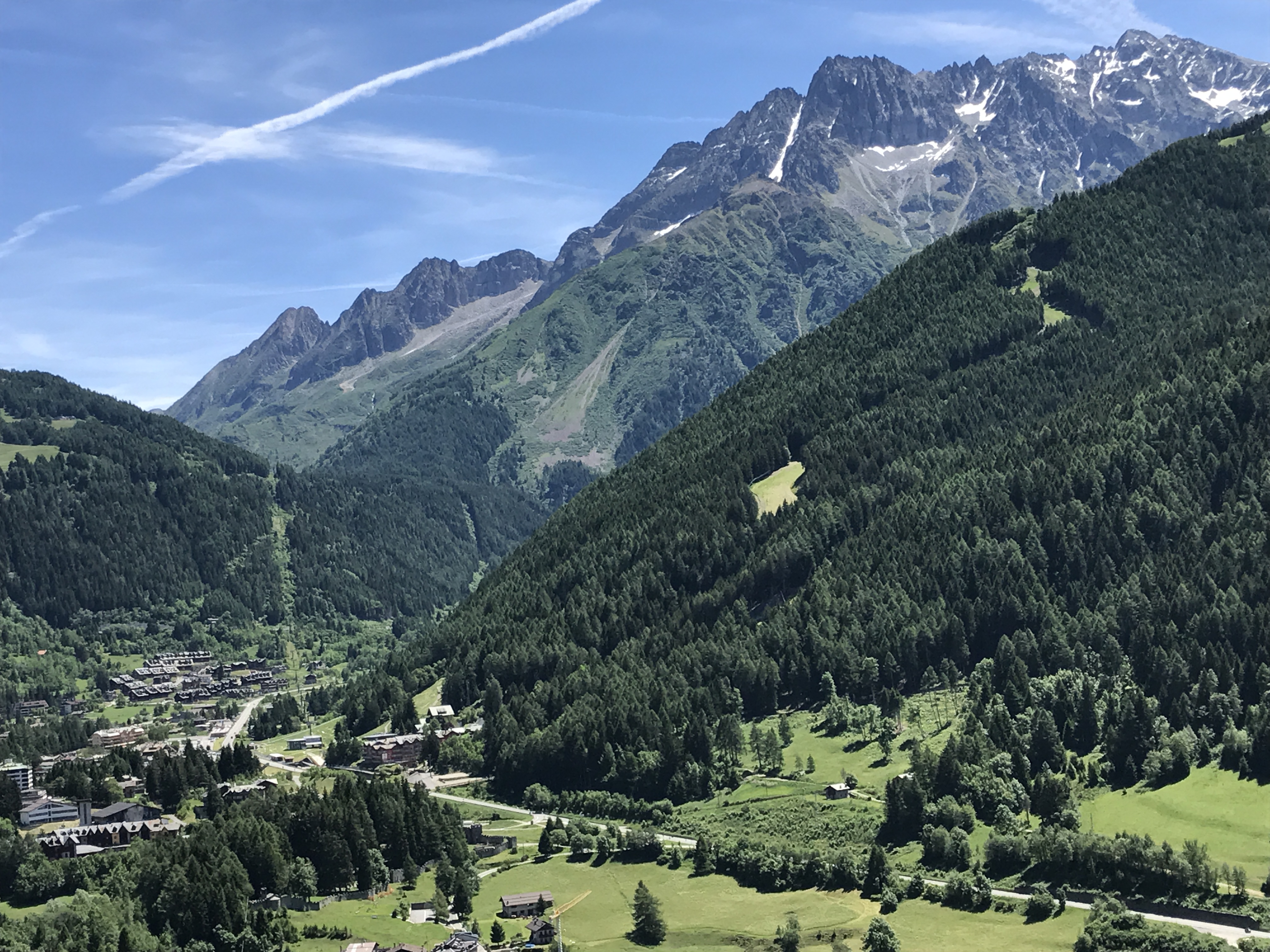 Disinfestazione  a Ponte di Legno