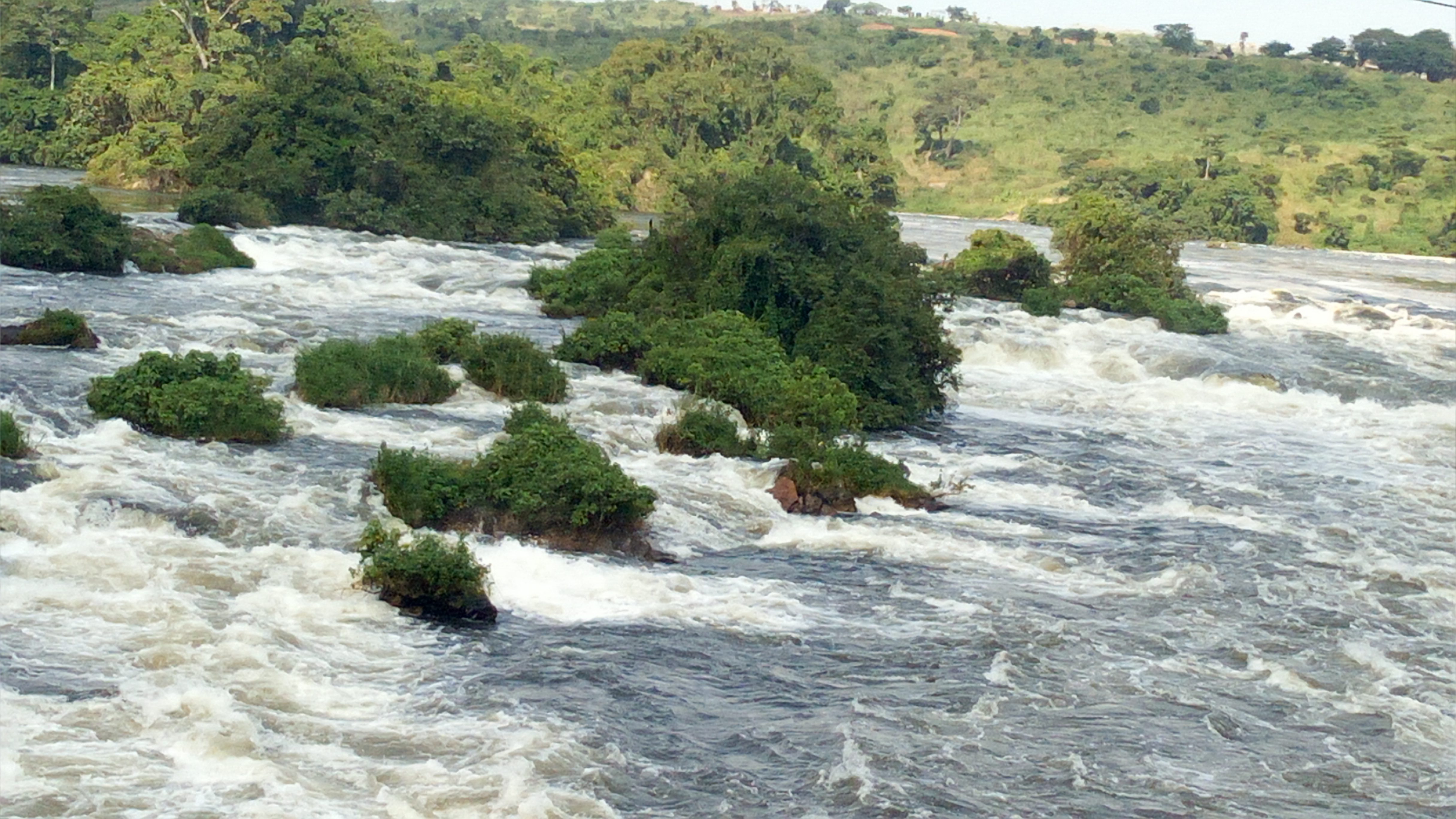 File:Beautiful nature along Nile River 01.jpg - Wikimedia Commons