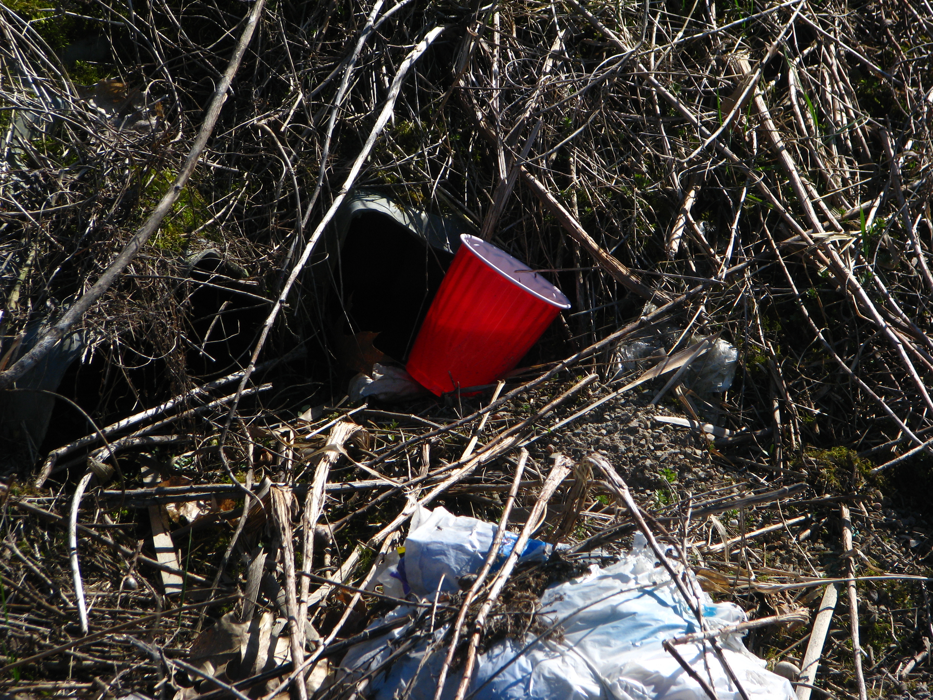 Plastic cup - Wikipedia