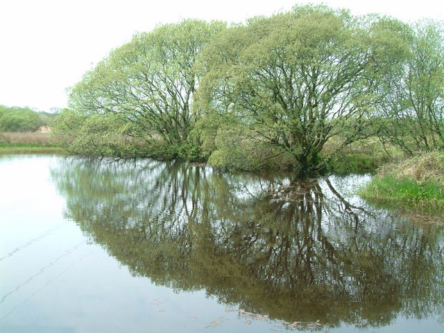 File:Reflection in pond - geograph.org.uk - 169880.jpg