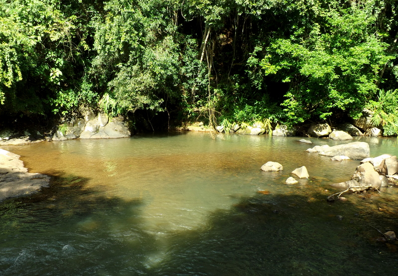 File:Reserva Familia Lima - panoramio (26).jpg