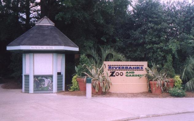 riverbanks zoo lion