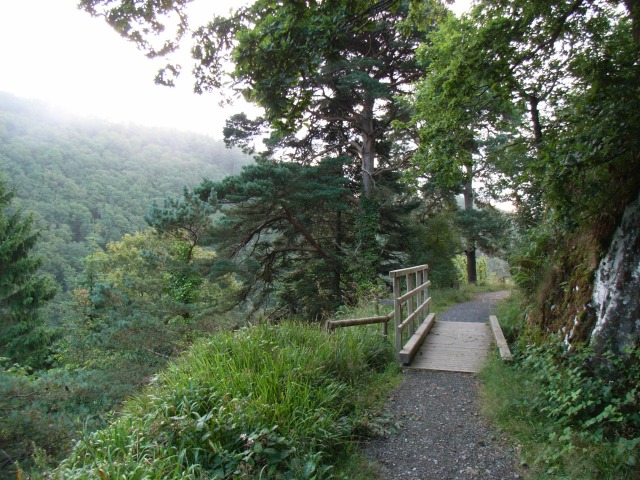 Small Bridge on the Cliff Walk in Devil's Glen Forest Park, Co. Wicklow - geograph.org.uk - 1437949