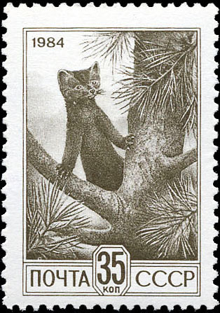 File:The Soviet Union 1984 CPA 5548 stamp (13th standard issue of Soviet Union. 7th issue. Environmental protection. Sable in cedar) small resolution.jpg