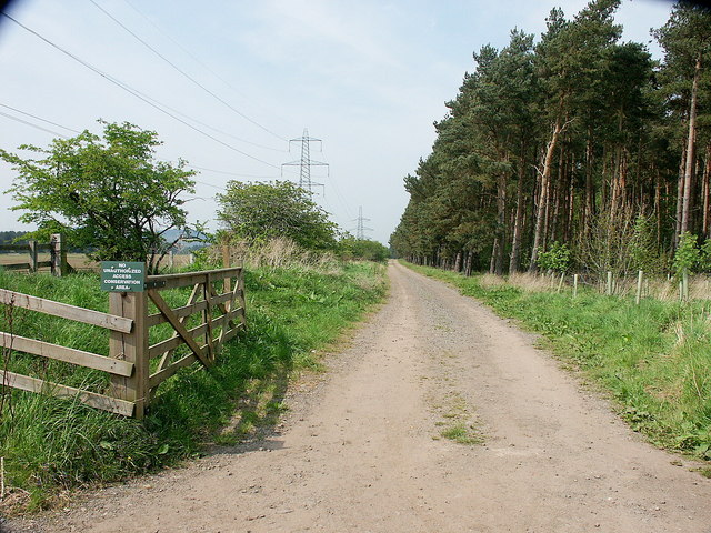 File:Track to Floddenford Plantation - geograph.org.uk - 795529.jpg