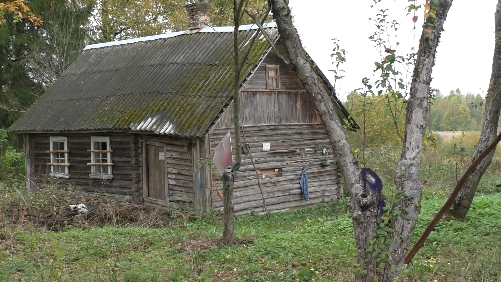 Авдоши (Красногородский район) — Википедия