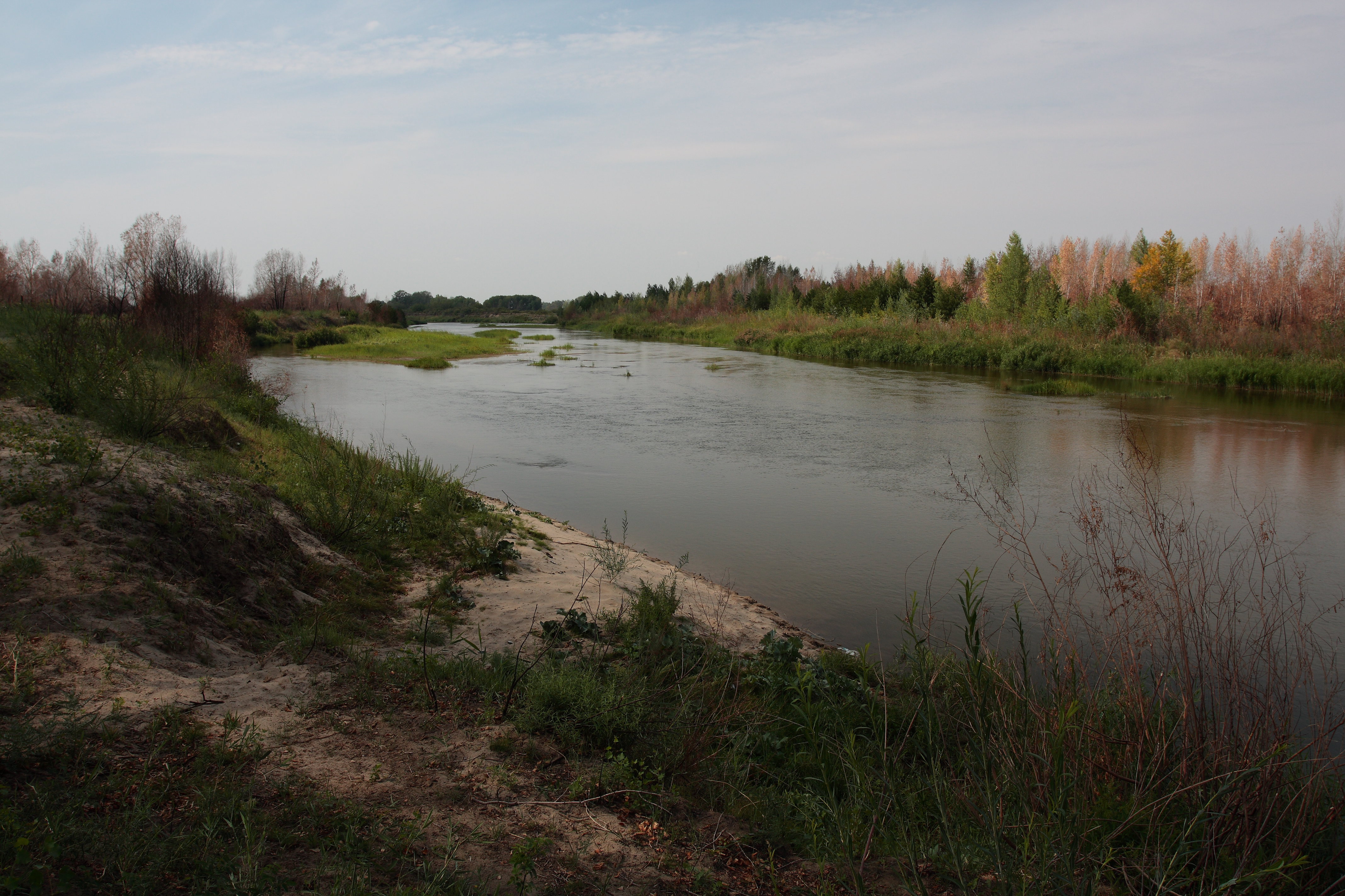 Вода пришла в илек