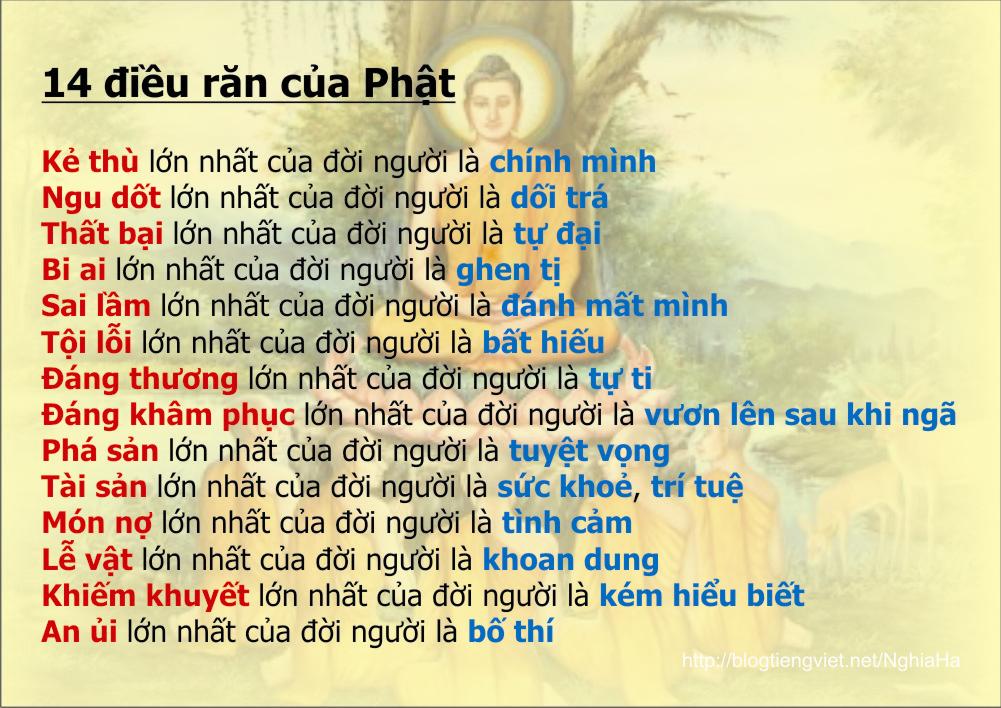 14 điều răn: Điều gì khiến 14 điều răn của Phật giáo trở nên đặc biệt và tuyệt vời? Hãy xem hình ảnh liên quan để khám phá những giá trị tinh thần và hành động ý nghĩa trong 14 điều răn này.