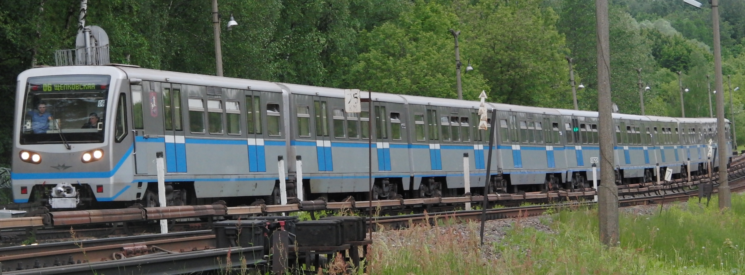 русич поезд метро