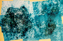 An aerial view of a possible wreck site of Alligator near Islamorada, Florida Alligator shipwreck.jpg