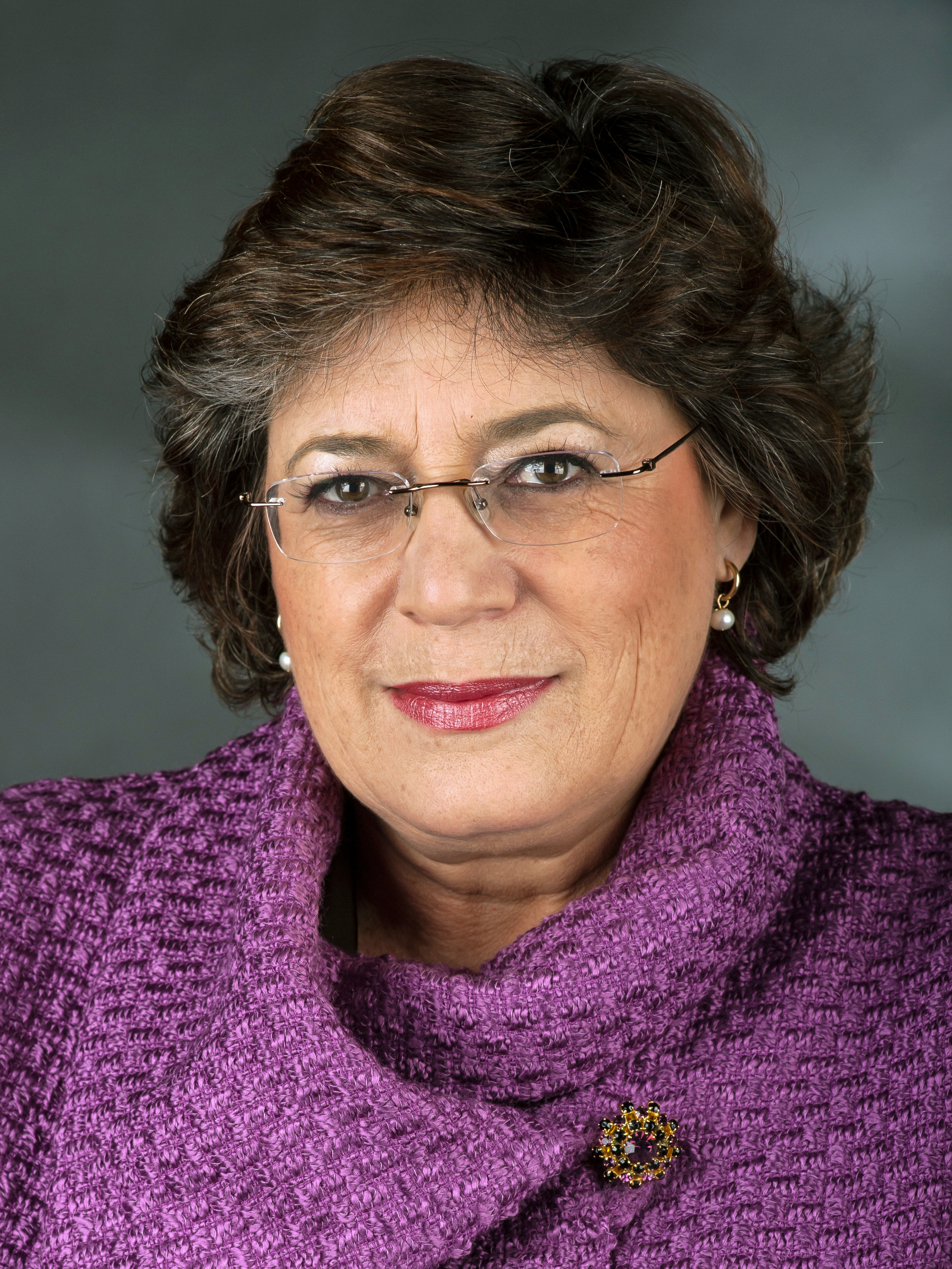 Ana Gomes Wikipedia