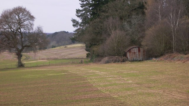 File:Barn in field corner - geograph.org.uk - 1180994.jpg