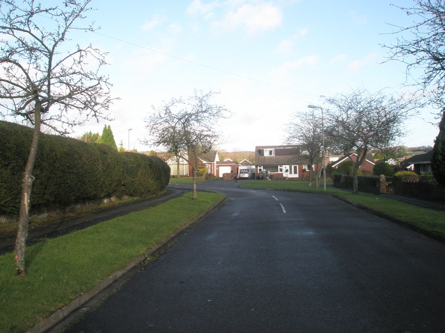 File:Beech Road - geograph.org.uk - 1612033.jpg