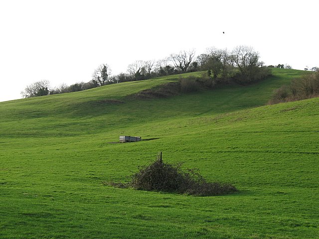 File:Ben Knowle Hill - geograph.org.uk - 669693.jpg