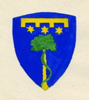 Coa fam ITA salucci delle stelle khi.jpg