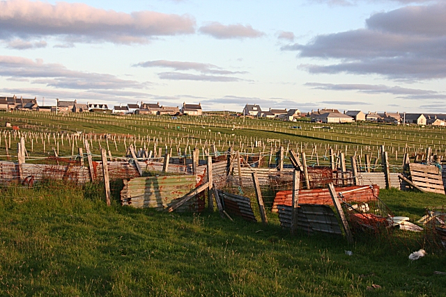 File:Corrugated Iron - geograph.org.uk - 1345770.jpg