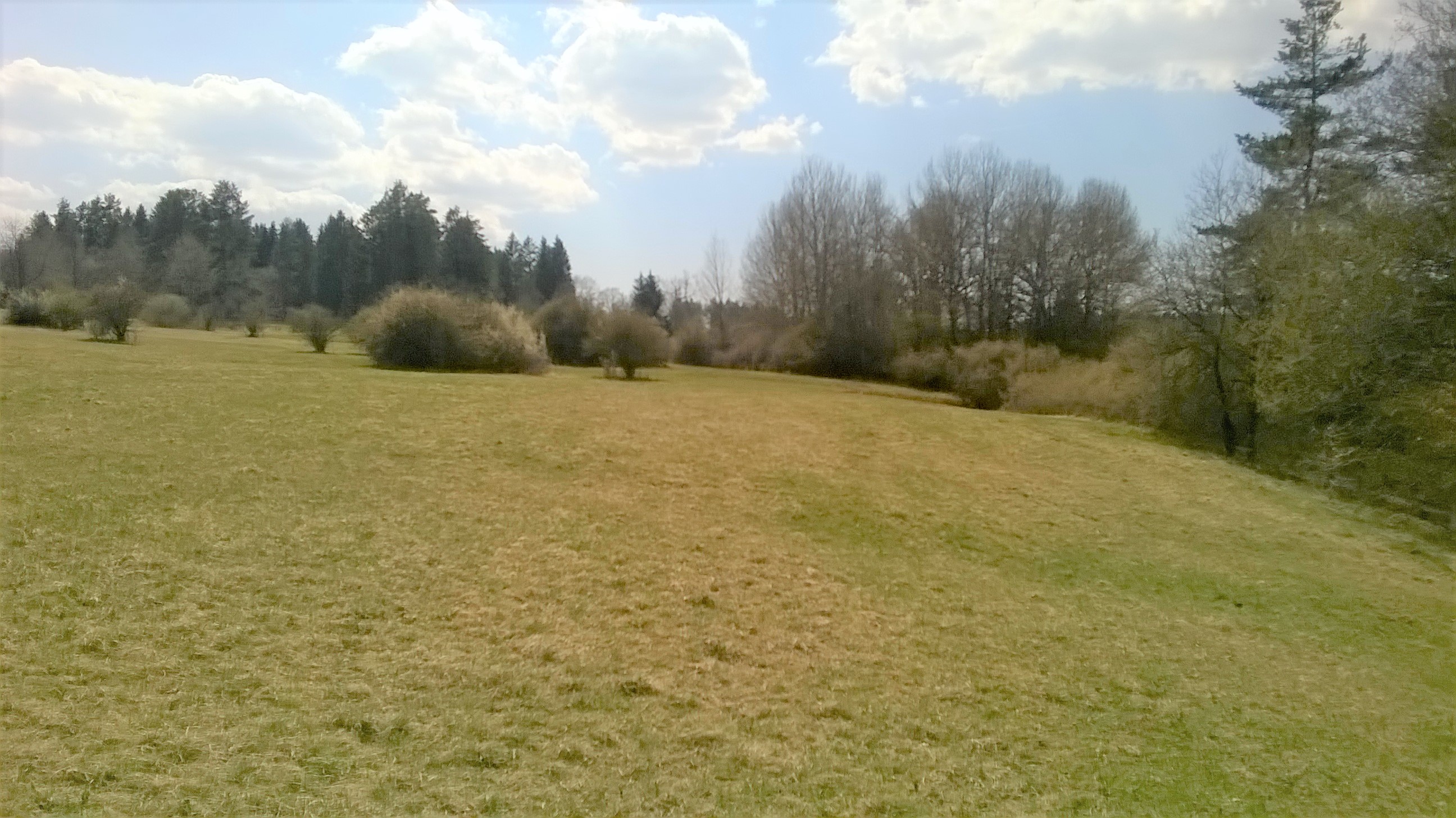 Tannhörnle - Hill and natural reserve in Villingen-Schwenningen, Germany