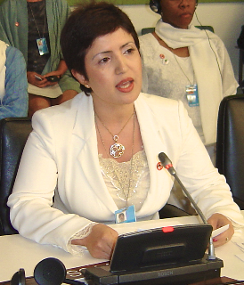 Widad Akrawi Author, lecturer, lobbyist