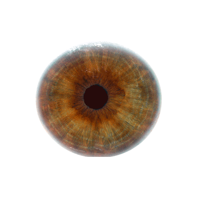 File:Eyeball.png