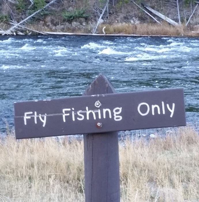 Only fishing. Fish only.