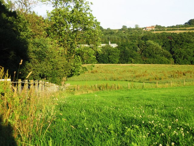 File:Footpath along Little Burn - geograph.org.uk - 494876.jpg