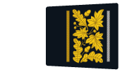 File:Grade de magistrat militaire de 2°classe.png