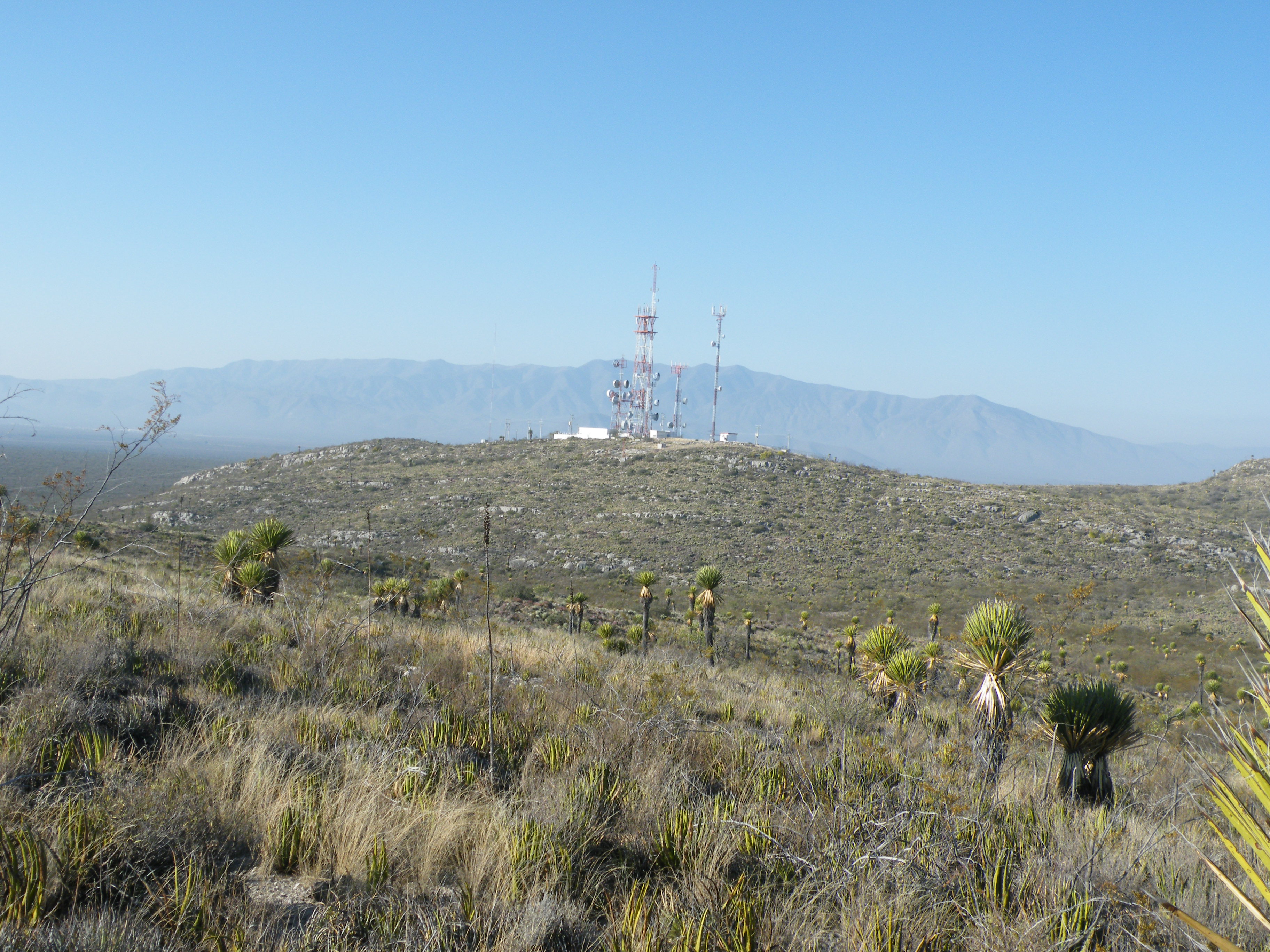 Huizache Junction, San Luis Potosi (5703213329).jpg