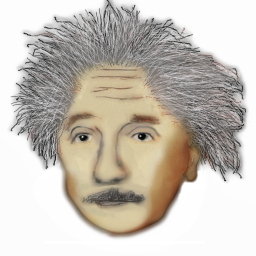 File:Icon Einstein 256x256.png