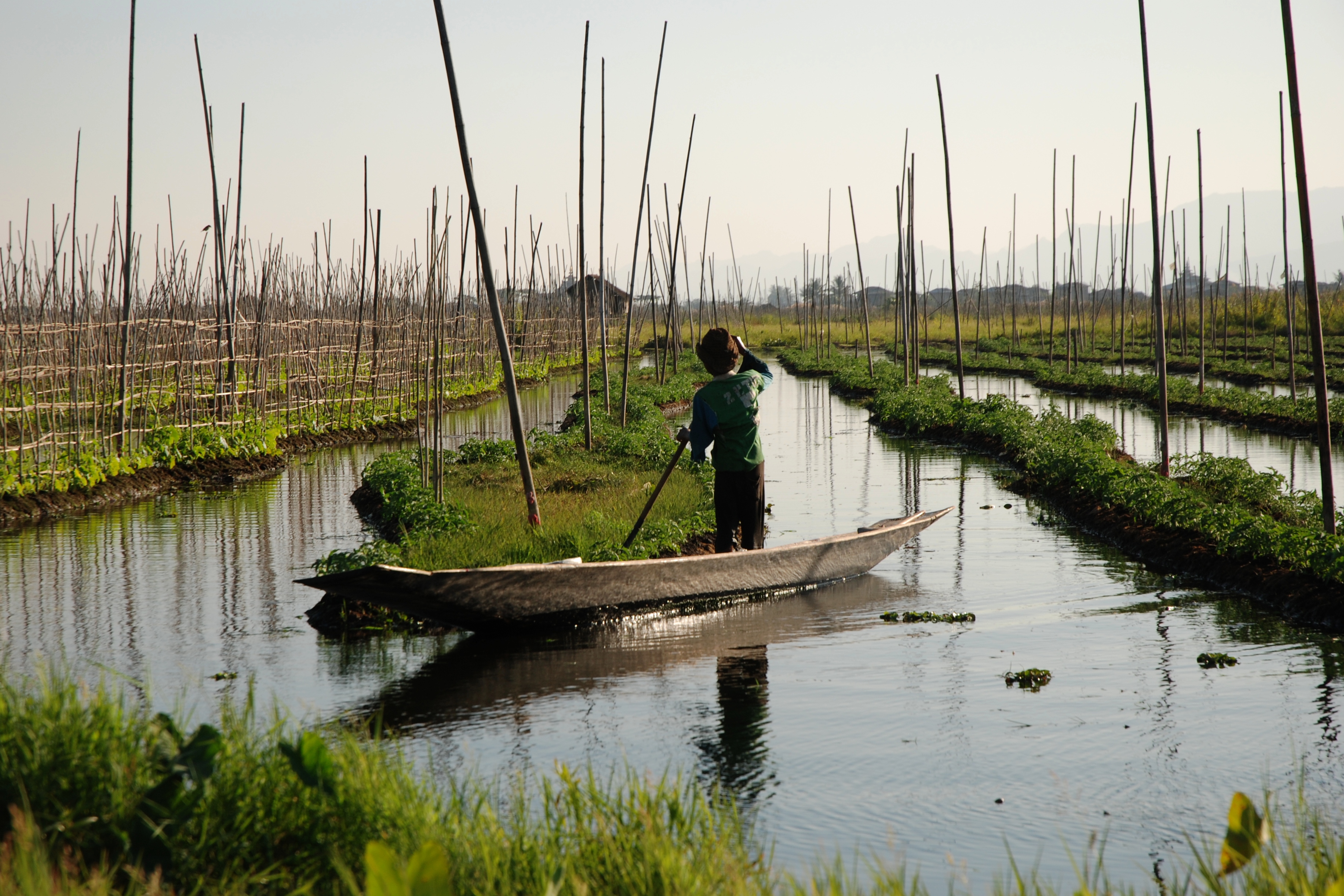 File Inle Lake Burma Floating Gardens 4 Jpg Wikimedia Commons