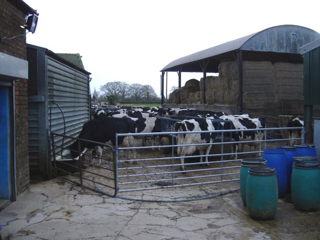 File:Leighfield farm - geograph.org.uk - 314783.jpg