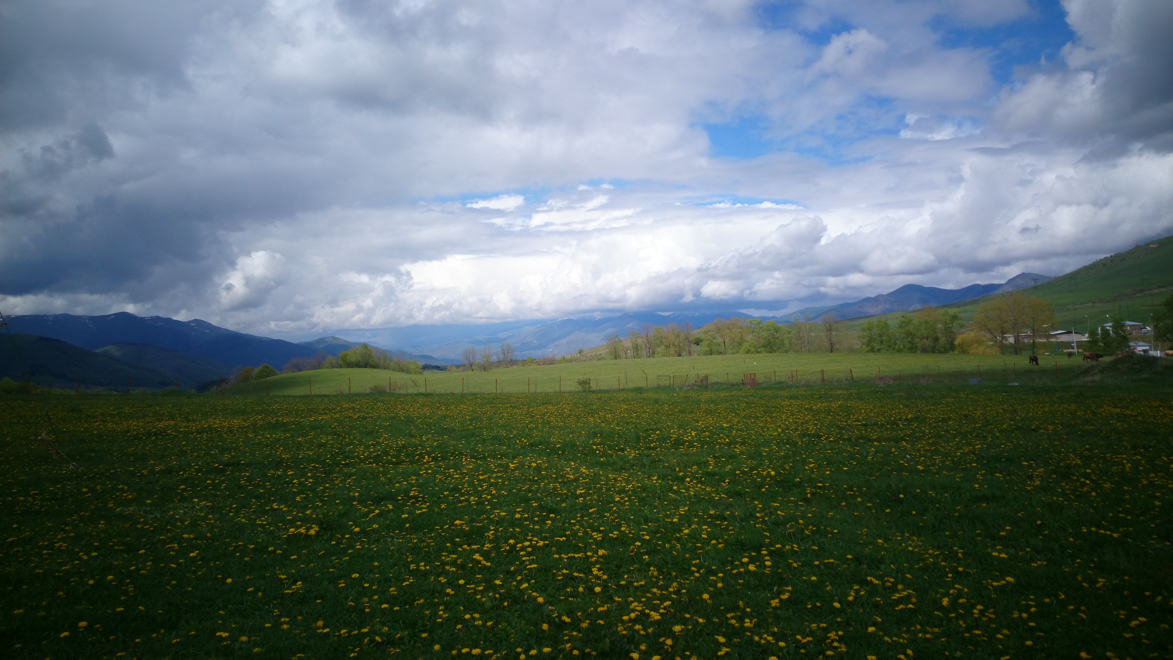 армения село фиолетово